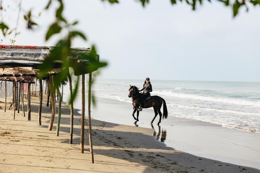 Cartagena: Beach Horse Ride and Colombian Equestrian Culture - Practical booking advice
