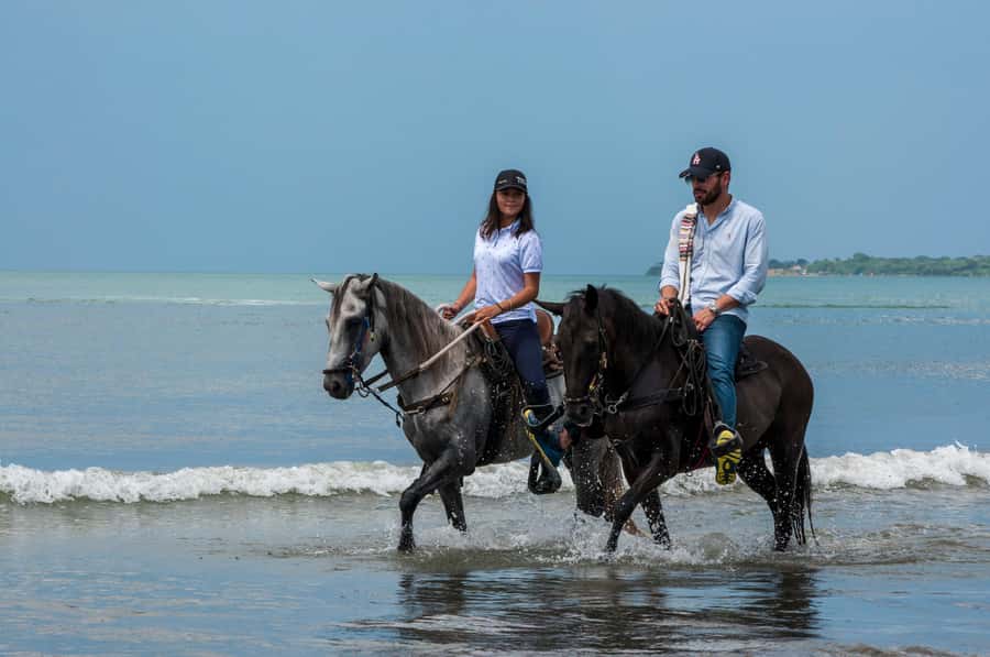 Cartagena: Beach Horse Ride and Colombian Equestrian Culture - Matching you with the right horse
