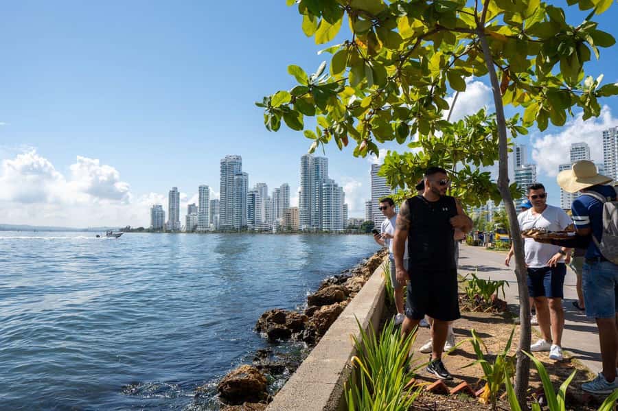 Cartagena: CITY TOUR IN ENGLISH, Old city, Monuments, Castle - Key points to know before you book