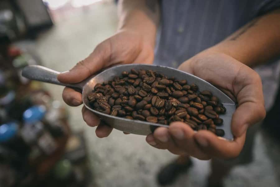 Cartagena Coffee Masterclass: Artisanal Roasting and Brewing - What the $85 price includes