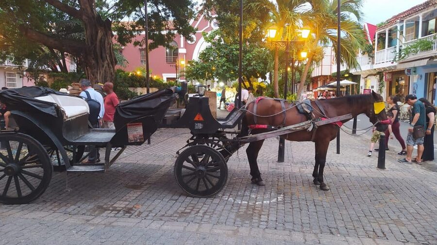 Cartagena: COLLONIAL HORSE DRAWN CARRIAGE by THE OLD CITY - Santo Domingo Square and the first city views