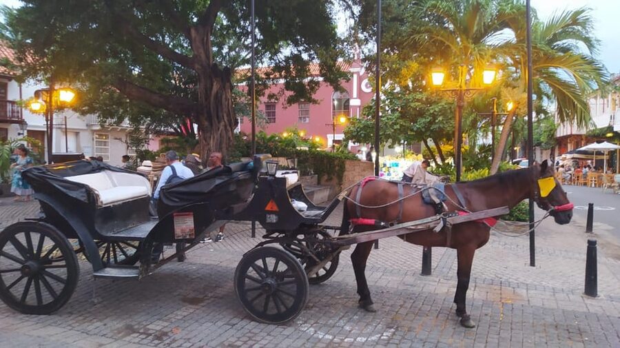 Cartagena: COLLONIAL HORSE DRAWN CARRIAGE by THE OLD CITY - Choosing 20 minutes, 40 minutes, or one hour
