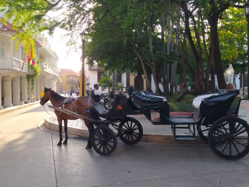 Cartagena: COLLONIAL HORSE DRAWN CARRIAGE by THE OLD CITY - The $29 price and who gets the best value