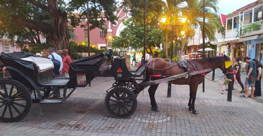 Cartagena: COLLONIAL HORSE DRAWN CARRIAGE by THE OLD CITY - What happens at Navy Park