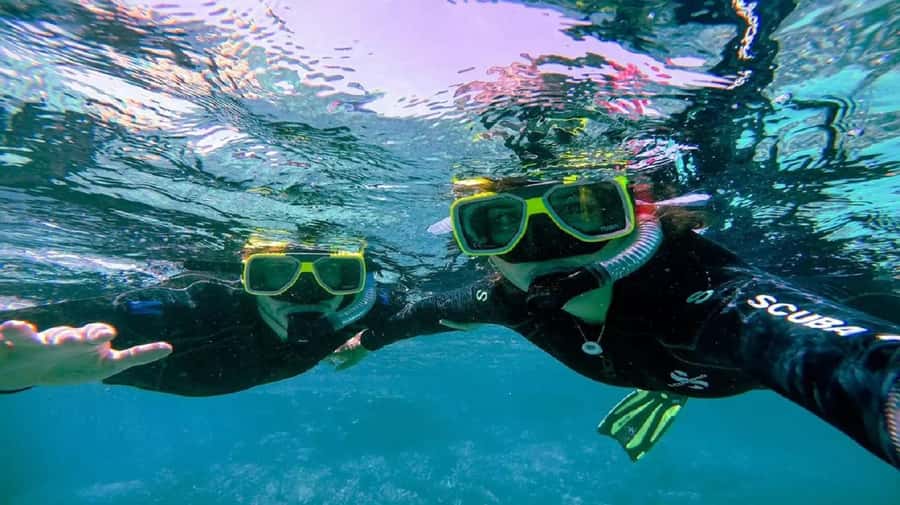 Cartagena: Coralina Island Day Trip with Lunch - Service, facilities, and comfort