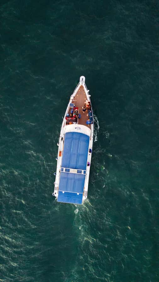 Cartagena: Cruise by the Bay with Dinner and Wine - Castillogrande and the quieter side of Cartagena