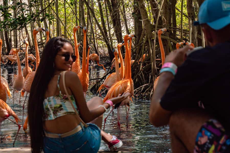 Cartagena: Day Trip Aviary and enjoy Playa Blanca by bus - Two Barú stops, one long day