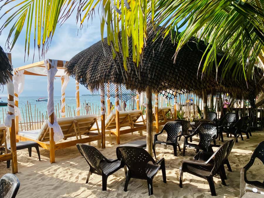 Cartagena: Day Trip Aviary and enjoy Playa Blanca by bus - Morning pickup from Cartagena’s tourist districts