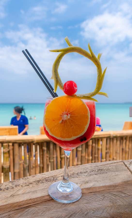 Cartagena: Day Trip Aviary and enjoy Playa Blanca by bus - The National Aviary of Colombia