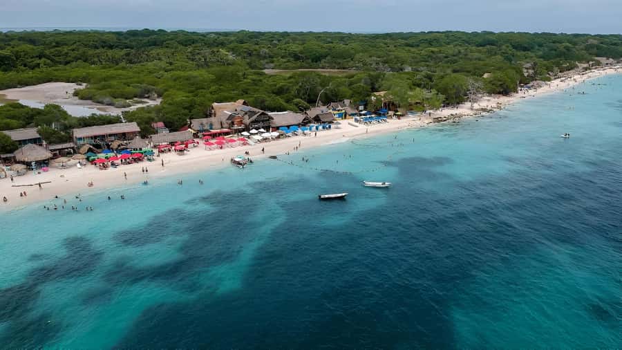 Cartagena: Daytour Aviary and Playa blanca, Barú by bus! - Three hours at Playa Blanca, Barú
