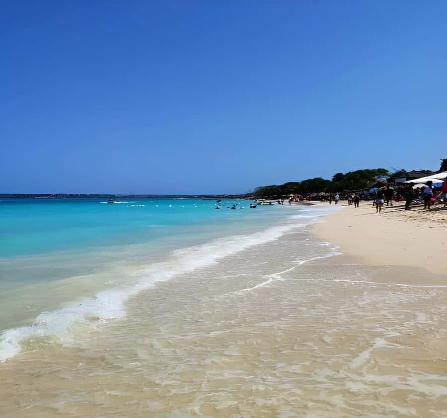 Cartagena: Daytour Aviary and Playa blanca, Barú by bus! - Lunch, drinks, and the real price