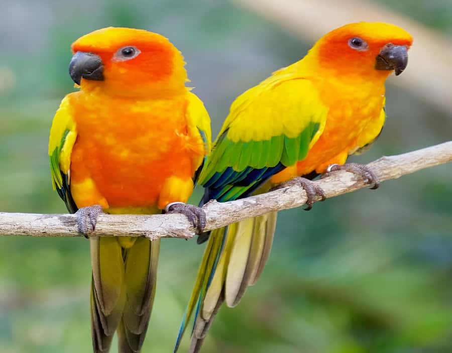 Cartagena: Daytour Aviary and Playa blanca, Barú by bus! - Pickup points and the return to Cartagena