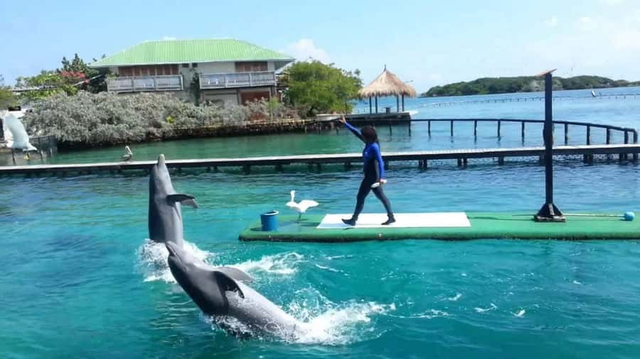 Cartagena de Indias: Pasadia 5 Islas del rosario and Baru boat trip - Snorkeling or the Oceanarium