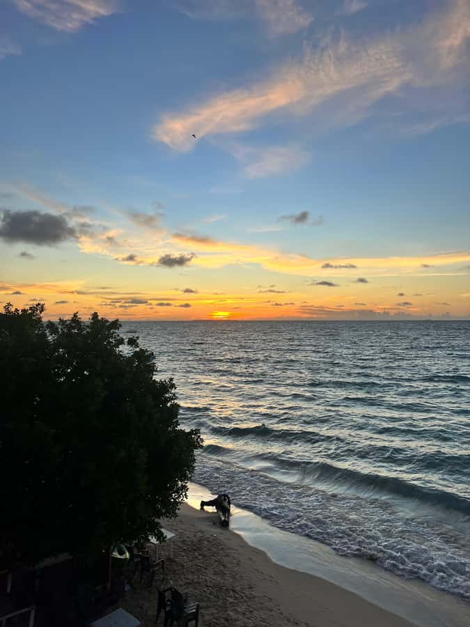 Cartagena de Indias: Pasadia 5 Islas del rosario and Baru boat trip - Who should book this Cartagena boat trip?