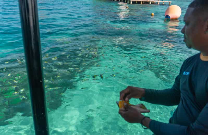 Cartagena: Ecoplan on Barú, Aviary and Oceanarium in one day - Key points to know before booking