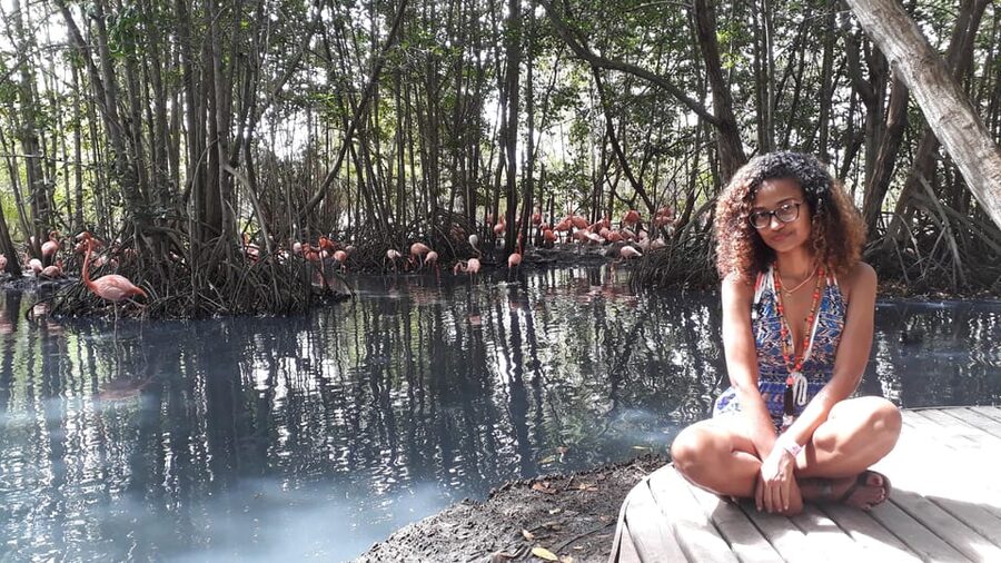 Cartagena: Ecoplan on Barú, Aviary and Oceanarium in one day - Who will enjoy this Barú day trip