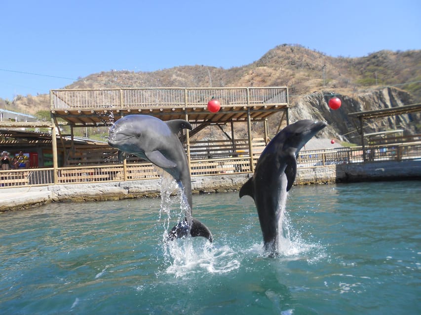 Cartagena: Ecoplan on Barú, Aviary and Oceanarium in one day - The National Aviary’s two-hour visit