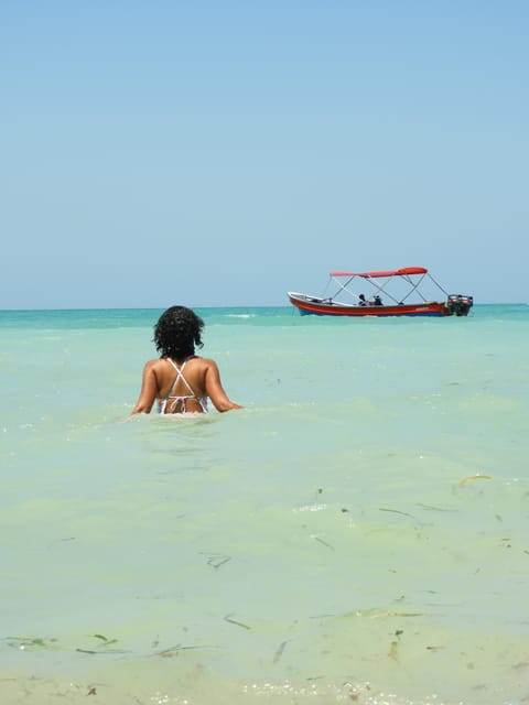 Cartagena: Ecoplan on Barú, Aviary and Oceanarium in one day - Returning to Cartagena after a full schedule