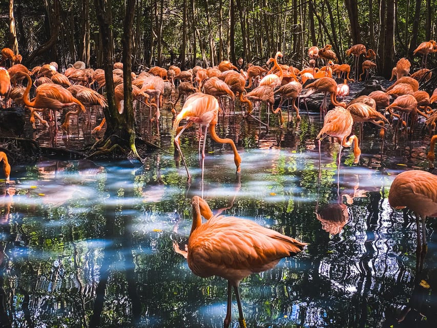 Cartagena: Ecoplan on Barú, Aviary and Oceanarium in one day - What the $68 price really covers