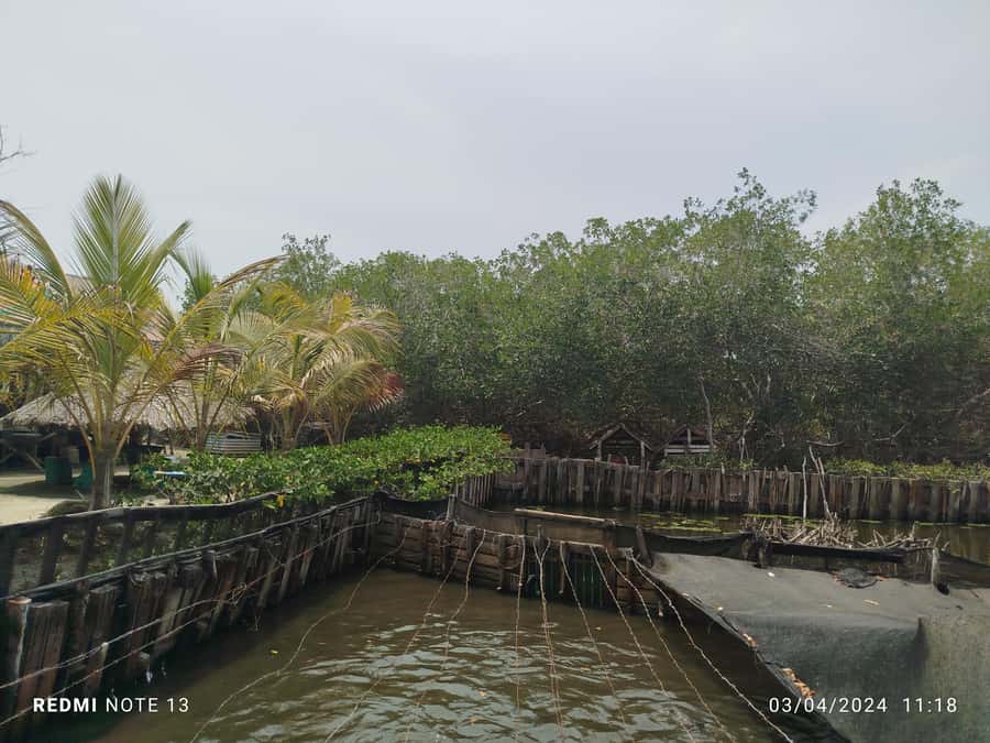 Cartagena: FISHERMEN'S ISLAND IN THE MANGROVES by canoe - Leaving Cartagena for La Boquilla