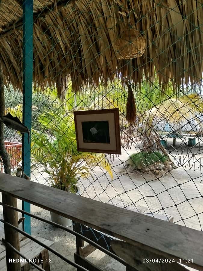 Cartagena: FISHERMEN'S ISLAND IN THE MANGROVES by canoe - What guides Domingo and Sandra add