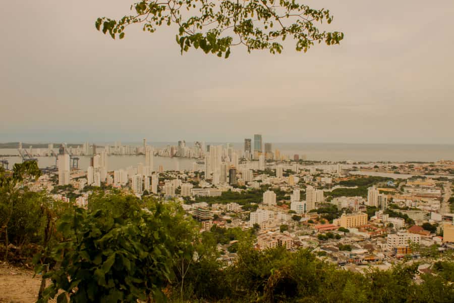 Cartagena Grand City Tour - Bazurto Market, if you choose the local option