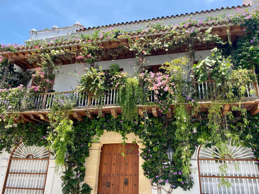 Cartagena: History, Culture & Coffee Experience - Getsemaní: street art and local character