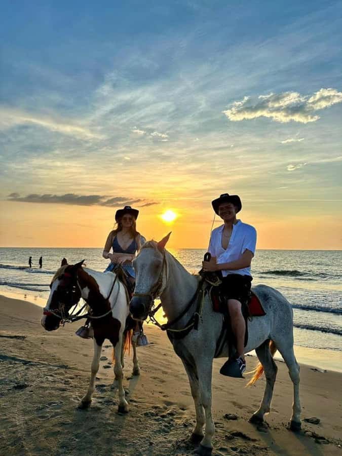Cartagena: Horse riding on the beaches of Cartagena & PHOTOS - A beach ride with a practical twist