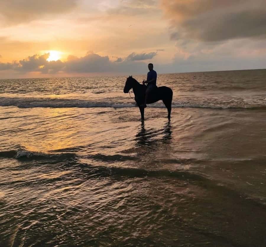 Cartagena: Horseback Ridding Excursion on the Beach - Leaving Cartagena for Manzanillo Beach