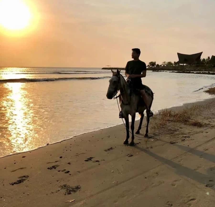 Cartagena: Horseback Ridding Excursion on the Beach - Meeting the horses and guide