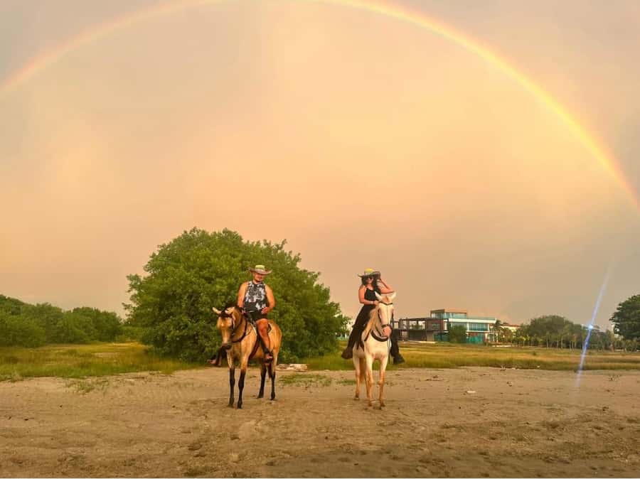 Cartagena: Horseback Ridding Excursion on the Beach - What the pace means for first-time riders