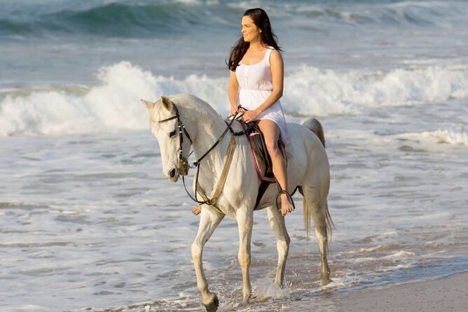 Cartagena: Horseback Riding at the Beach During Day or Sunset - Key Points Before You Book