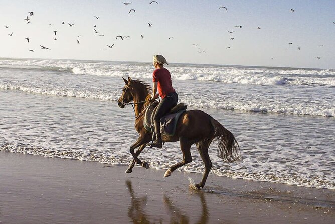 Cartagena: Horseback Riding at the Beach During Day or Sunset - Ending at the Seaside Restaurant
