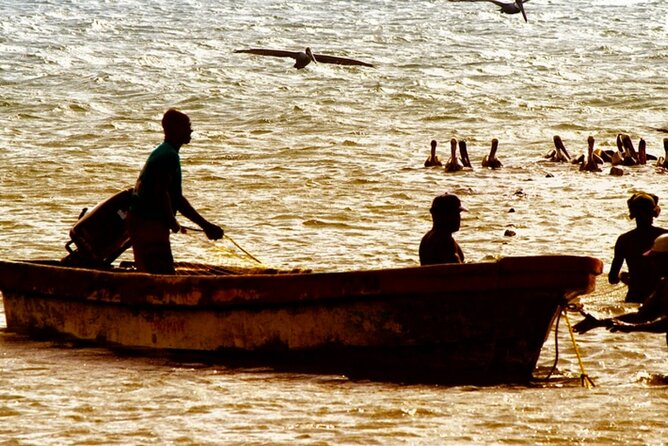 Cartagena: Horseback Riding at the Beach During Day or Sunset - Price, Group Size, and What You Receive