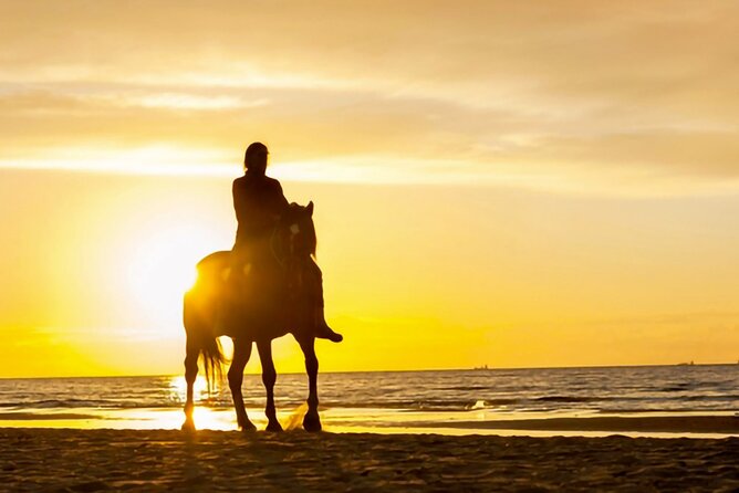 Cartagena: Horseback Riding at the Beach During Day or Sunset - Safety, Responsibility, and the Fine Print