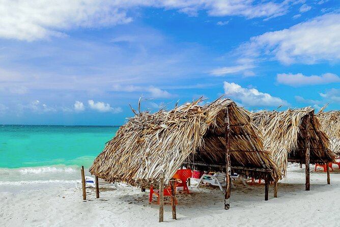 Cartagena: Horseback Riding at the Beach During Day or Sunset - Who Will Enjoy This Ride Most