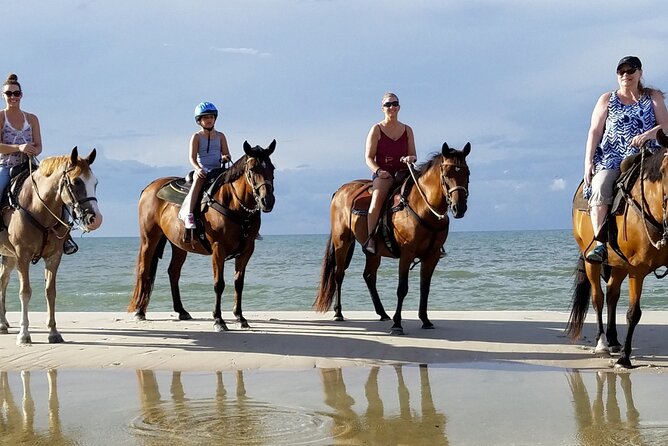 Cartagena: Horseback Riding at the Beach During Day or Sunset - What the Horse Ride Feels Like for a Beginner