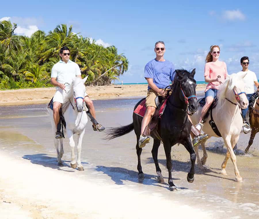 Cartagena: Horseback Riding on the Beach at Sunset - Riding Cartagena’s Rural Coast Near La Boquilla