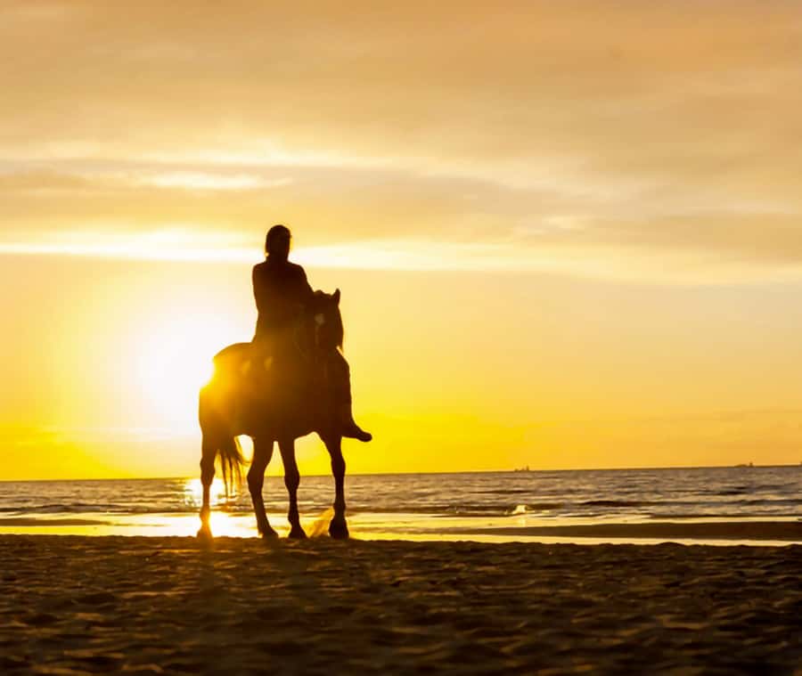 Cartagena: Horseback Riding on the Beach at Sunset - Getting Comfortable on a Calm Horse