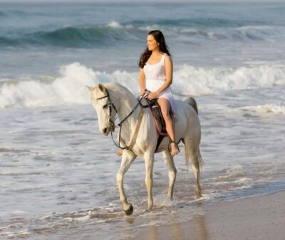 Horseback Riding on the Beach at Sunset