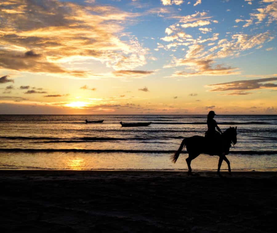Cartagena: Horseback Riding on the Beach at Sunset - Is $50 a Fair Price?