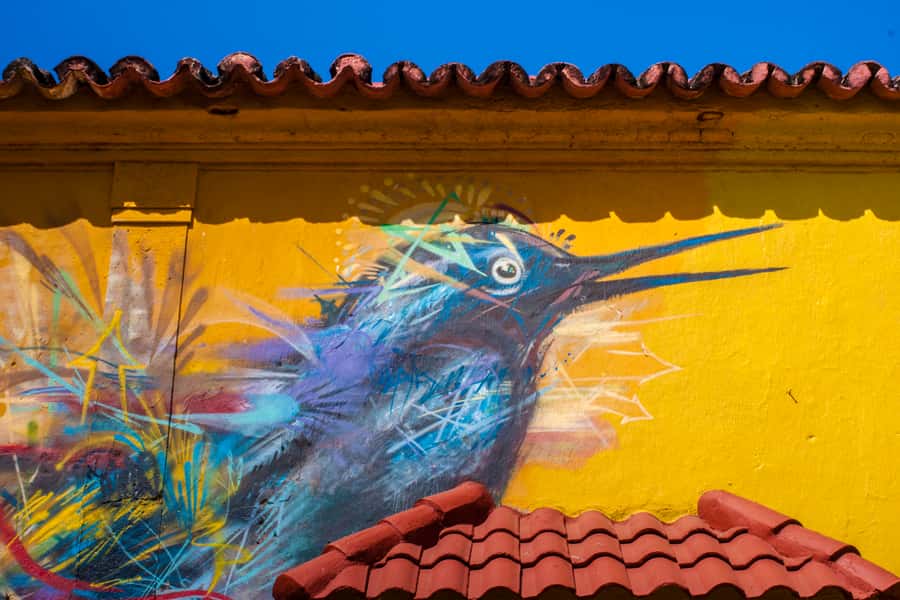Cartagena Instagram Mobile Workshop: Scenic and Trendy Shots - Key points to know before you book