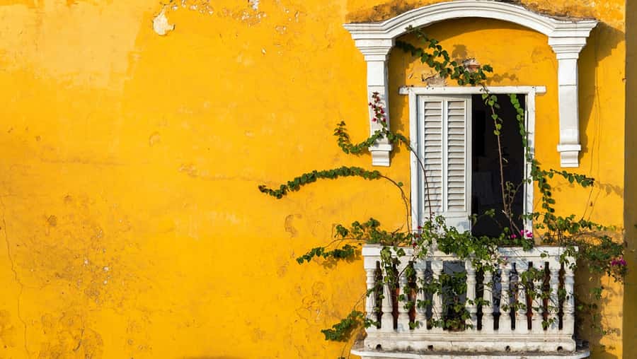 Cartagena Instagram Mobile Workshop: Scenic and Trendy Shots - Is $75 a fair price?