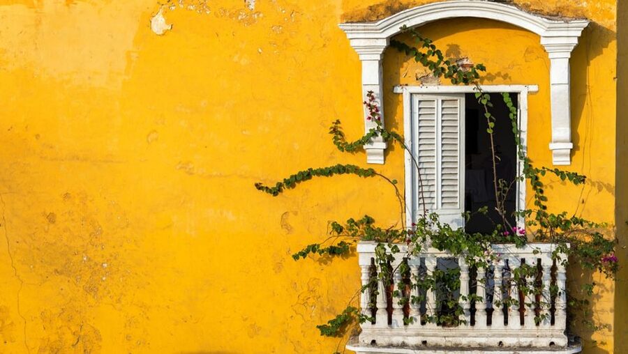 Cartagena Instagram Mobile Workshop: Scenic and Trendy Shots - Who will get the most from this photo walk?
