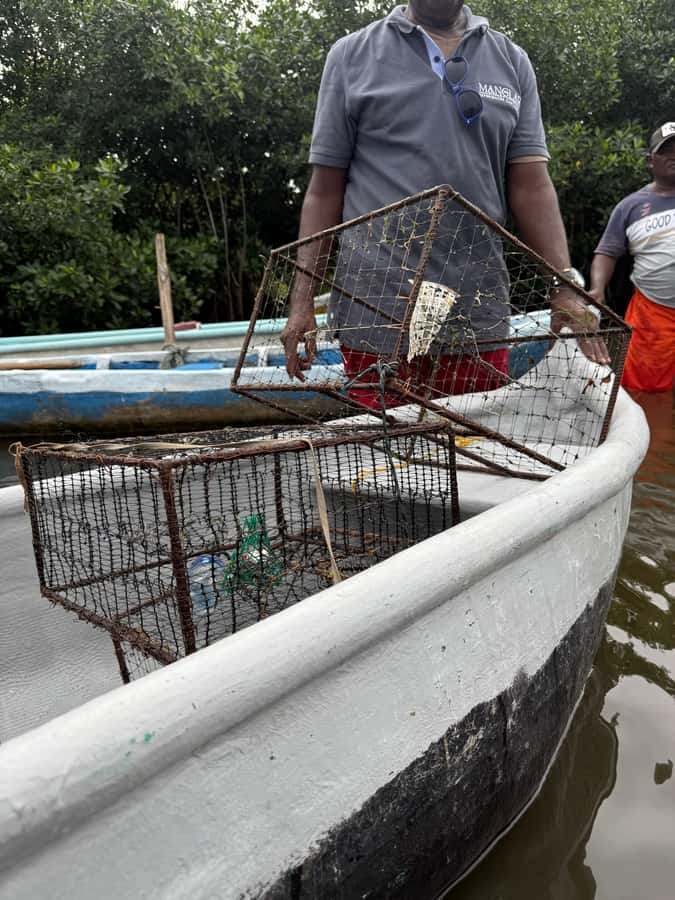 Cartagena: Mangrove Eco Tour & Fishing with Transportation - Heat, shade, and other practical details