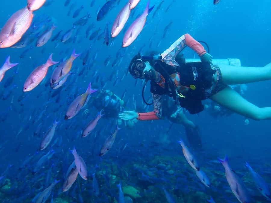 Cartagena: PADI DISCOVER SCUBA / MINICURSO DE BUCEO - Key points for your Barú morning