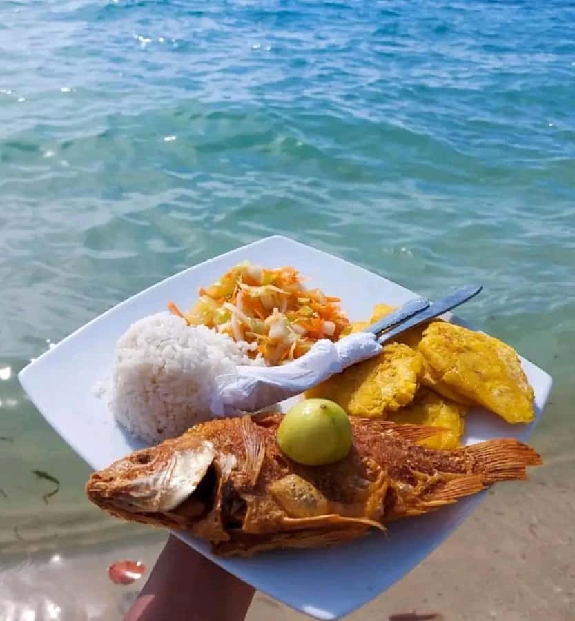 Cartagena: Playa Blanca BARU by speedboat with lunch - Meeting at the Bodeguita pier at 8:00 AM