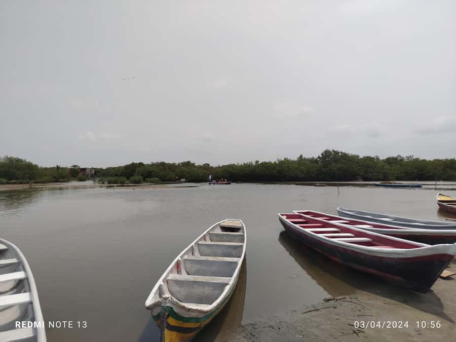 Cartagena: Private Sail in the mangrove GUIDE in ENGLISH - Who will enjoy this canoe ride