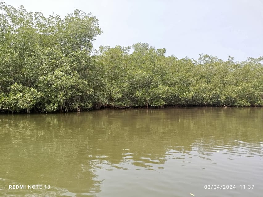 Cartagena: Private Sail in the mangrove GUIDE in ENGLISH - Practical advice for a smoother outing