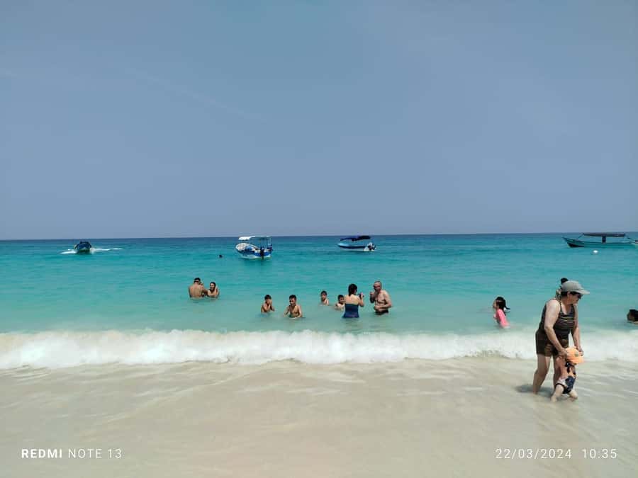 Cartagena: Raccoon Island Snorkel, Mangrove, Photos & Lunch - The mangrove channel and its raccoons